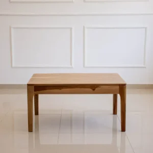 Mesa ratona Petiribí Moscú - SILVINA C 2