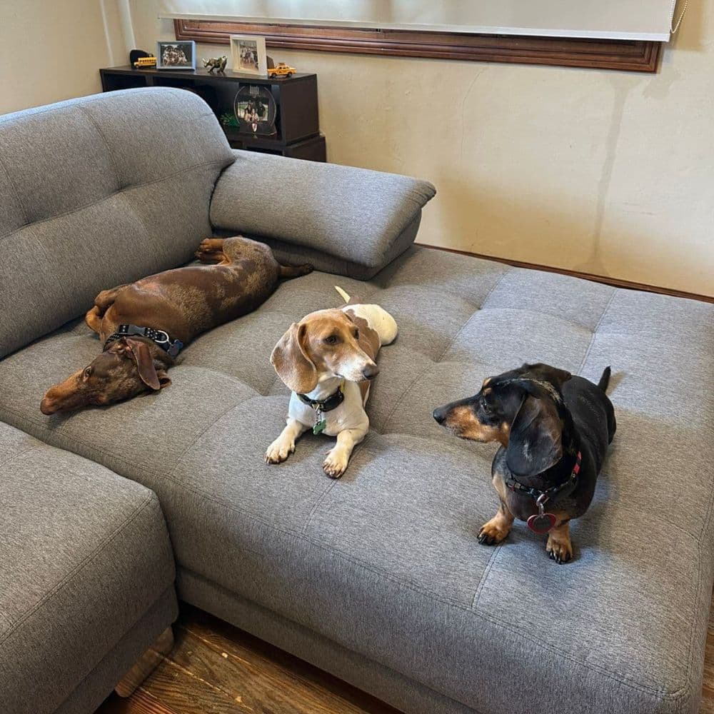 Imagen #1 de Kevin Kiernan