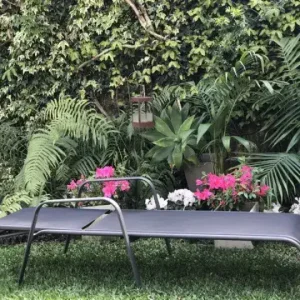 Reposera pileta 5 posiciones apoyabrazos Hierro Silver Hansel - SILVINA C 2