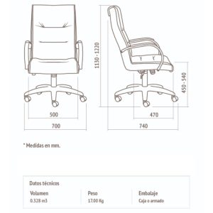 Silla escritorio oficina pc ergonómica alta Ram - SILVINA C 21