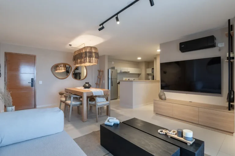 Silvina C. - Proyectos 01